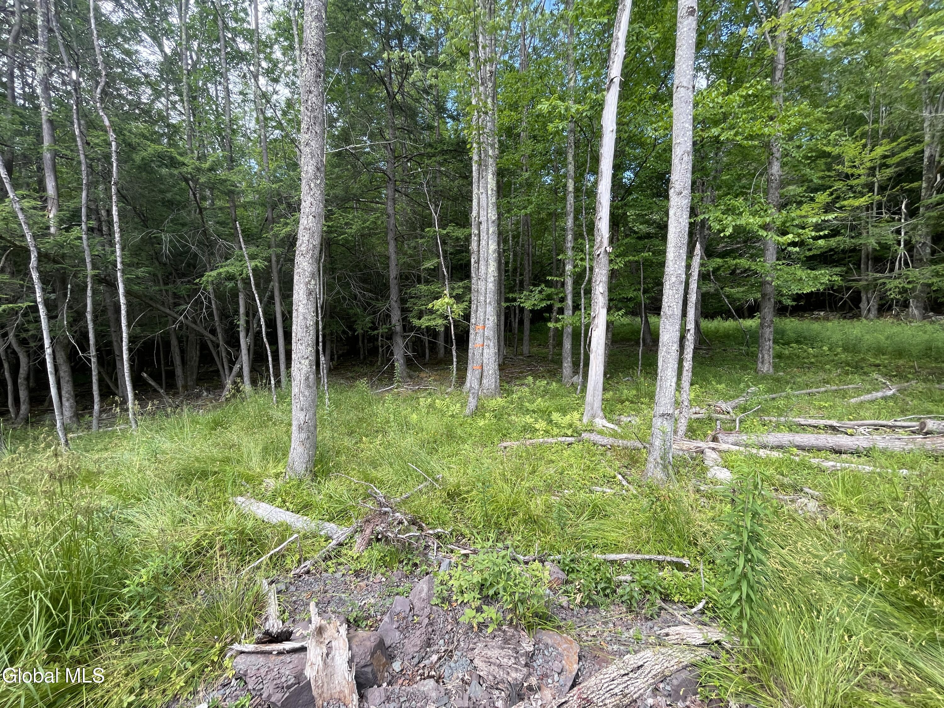 L38 Boulder Brook Road, Unit LOT #14 Windham, NY 12496 - Photo 3 of 40 IMG_0602