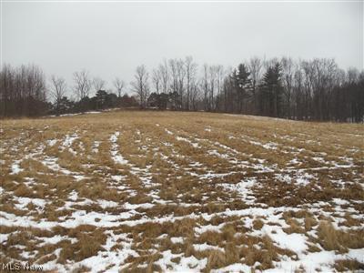1851 Gordon Road Northwest Dover, OH 44622 - Photo 1 of 1 Gallery Image 1
