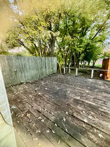 a view of a backyard with trees