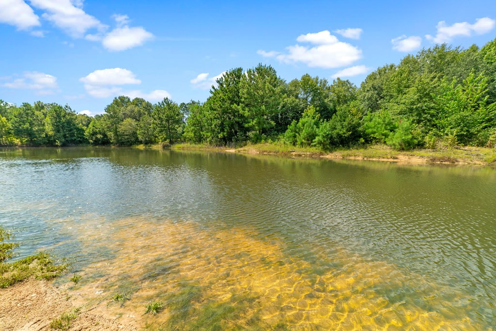 1129 McKenzie Road Manning, SC 29102 - Photo 6 of 28 Photo 6