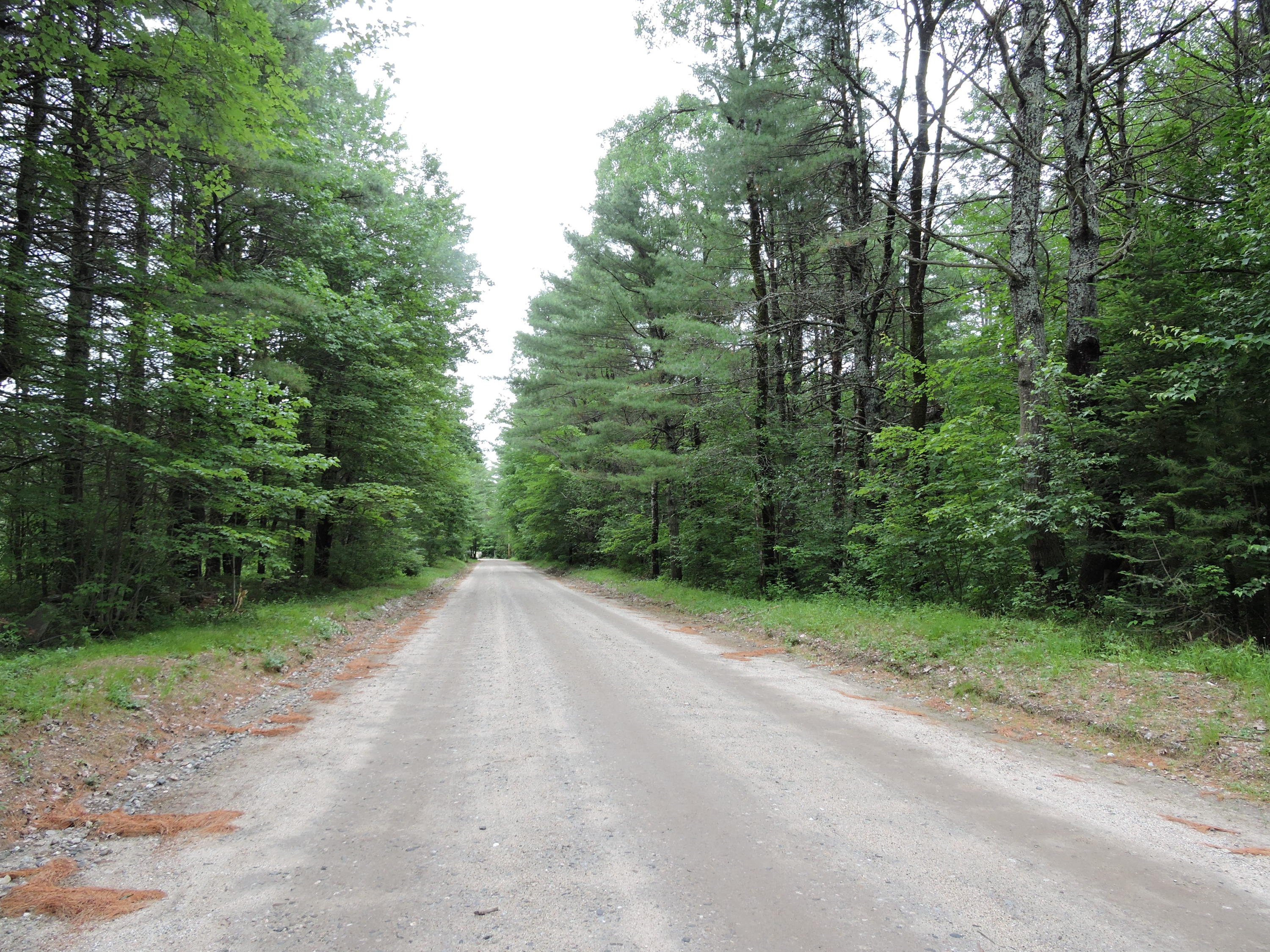 0 Tuttle Road Pownal, ME 04069 - Photo 8 of 8 DSCN5598