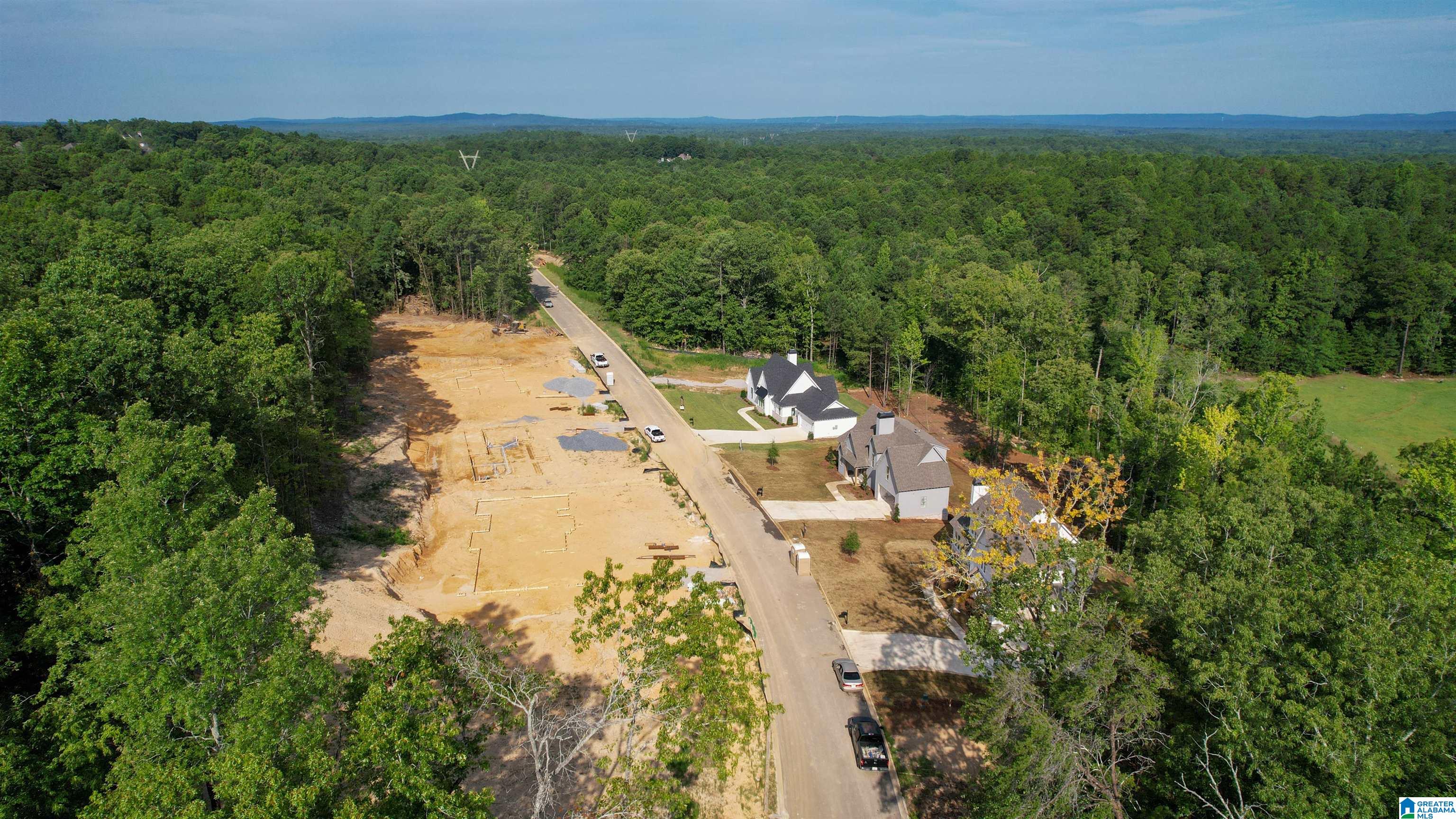 4040 Chelsea Ridge Trail Columbiana, AL 35051 - Photo 30 of 34