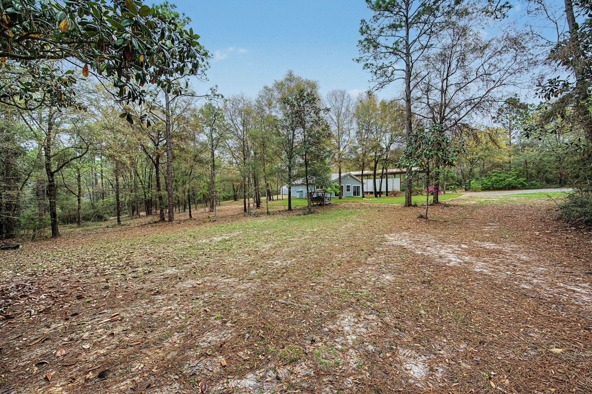 6730 Owens Road Laurel Hill, FL 32567 - Photo 11 of 36 a view of outdoor space with trees