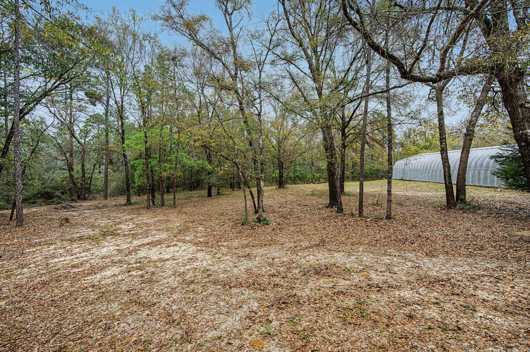 6730 Owens Road Laurel Hill, FL 32567 - Photo 12 of 36 a view of outdoor space with trees