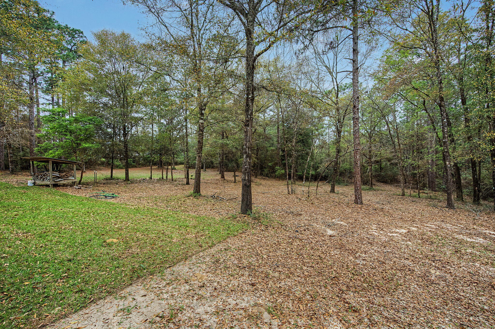 6730 Owens Road Laurel Hill, FL 32567 - Photo 13 of 36 a view of outdoor space with trees