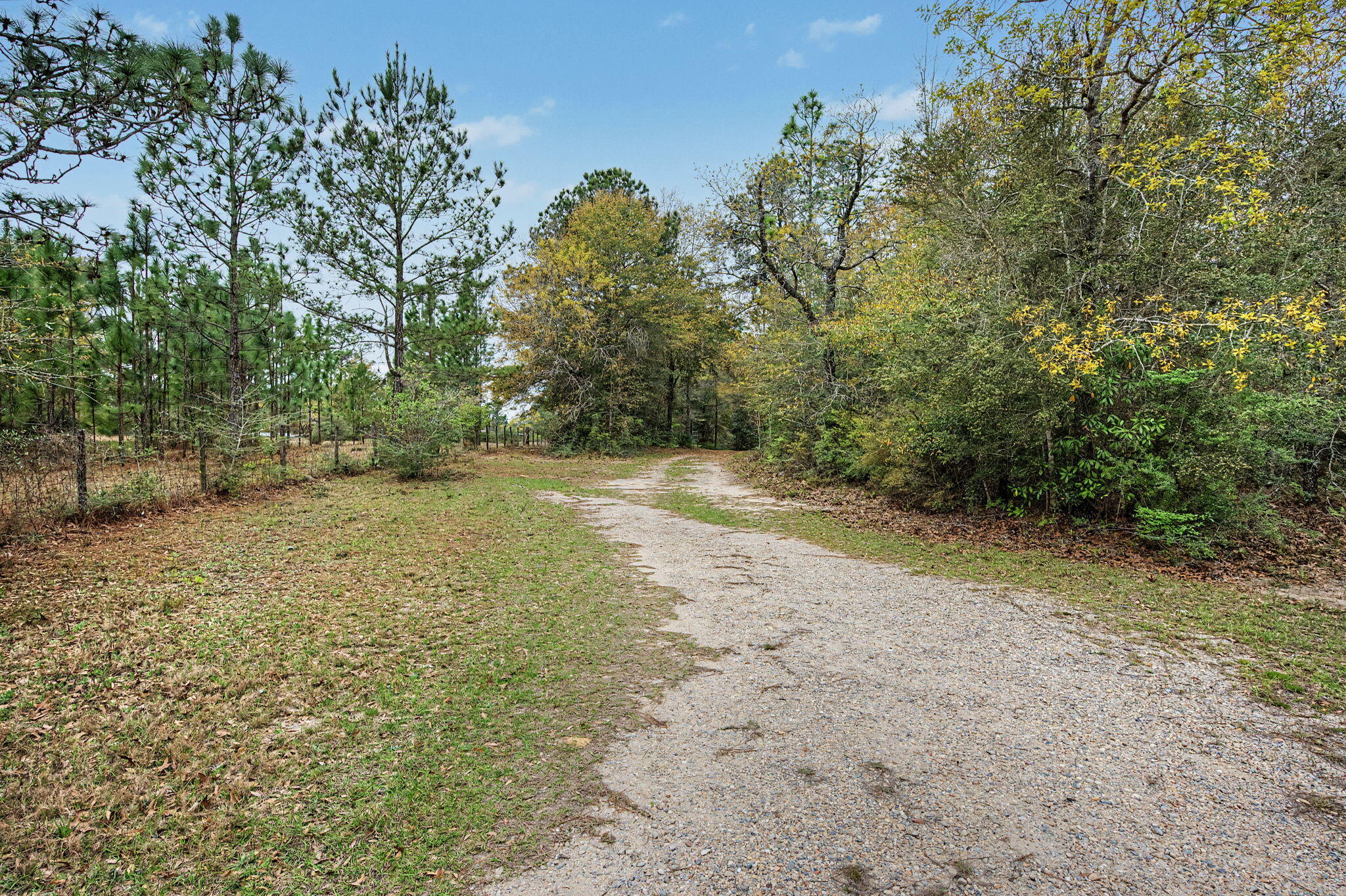 6730 Owens Road Laurel Hill, FL 32567 - Photo 35 of 36 a view of a yard with trees