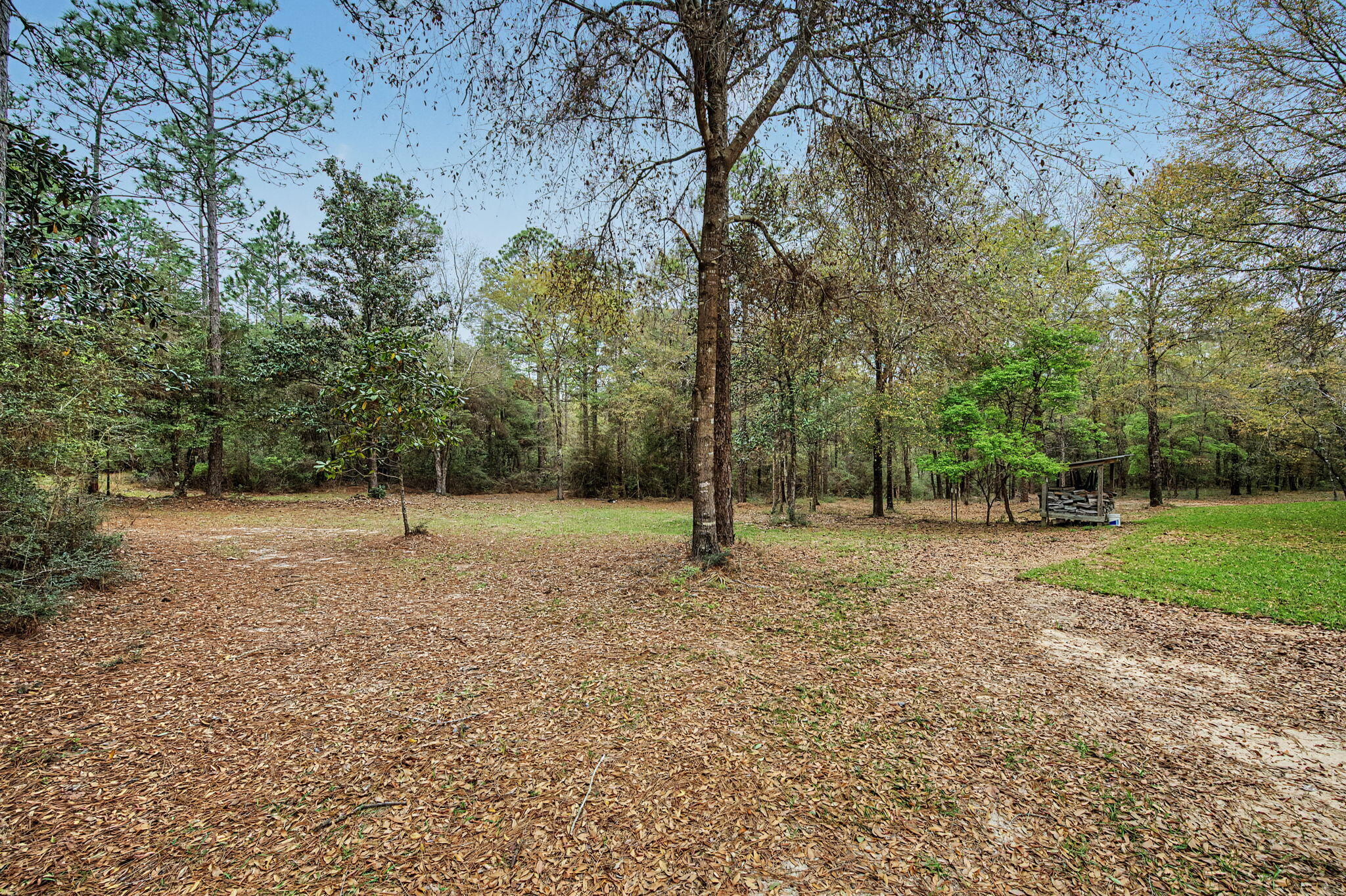 6730 Owens Road Laurel Hill, FL 32567 - Photo 10 of 36 a view of backyard with green space