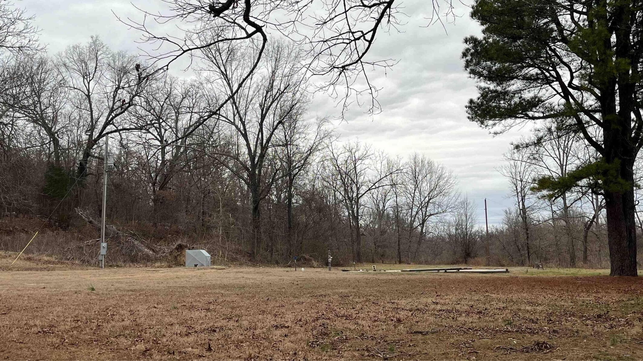 0 County Road West Thayer, MO 65791 - Photo 15 of 38 4