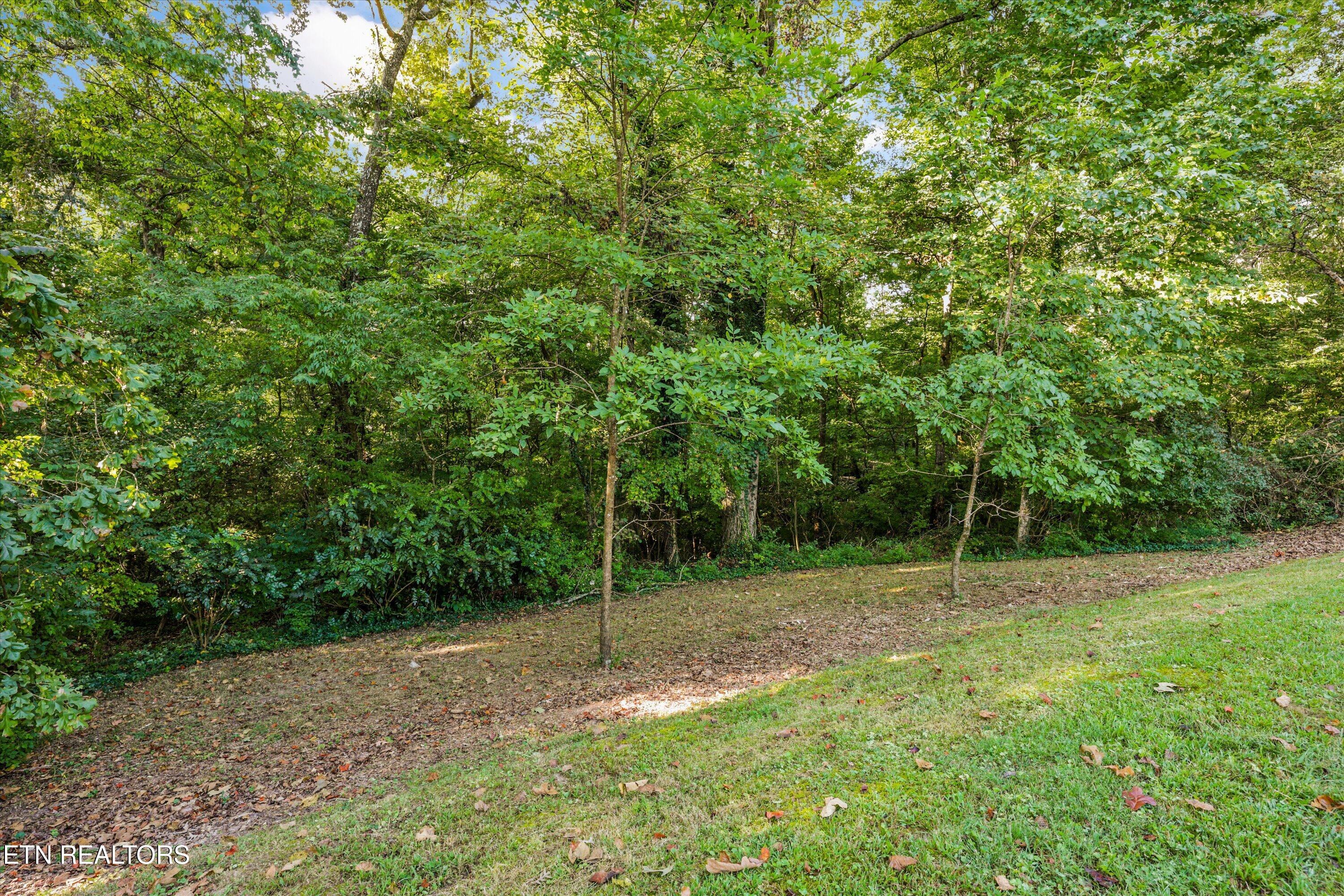 129 Amherst Lane Oak Ridge, TN 37830 - Photo 26 of 39 29-129 Amherst Ln 32