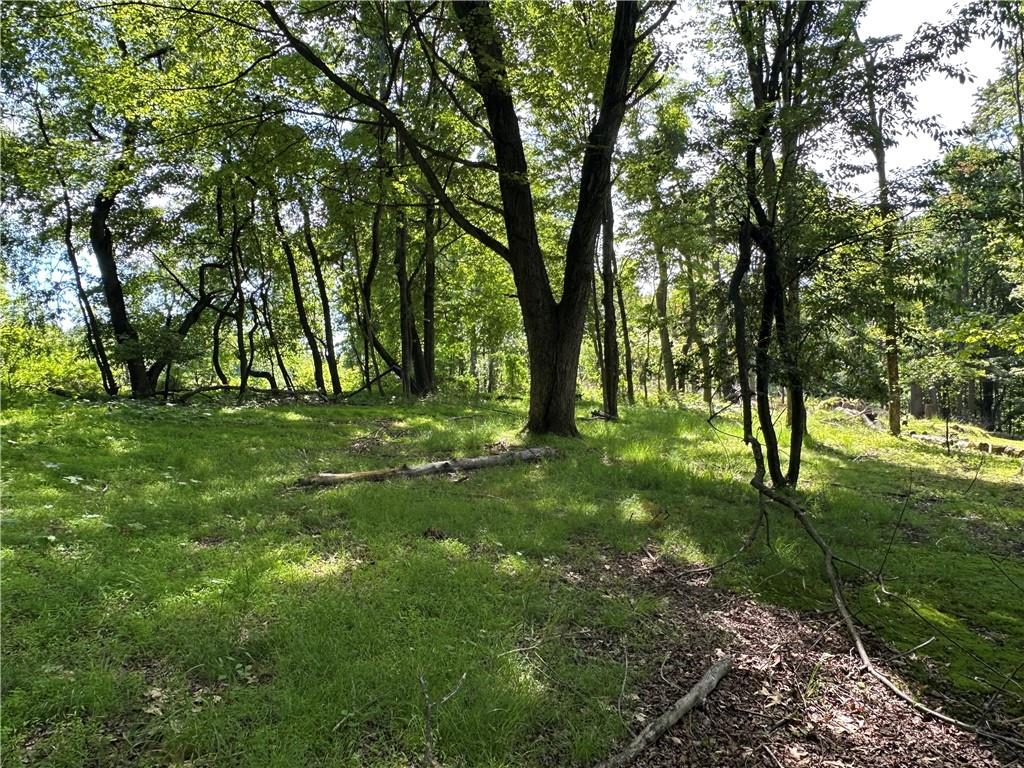 1745 Washington Road Apollo, PA 15613 - Photo 11 of 43