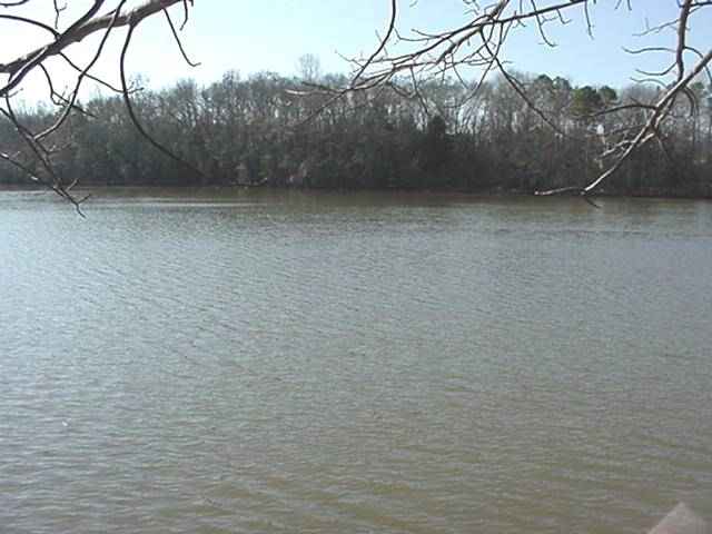Lot A Lanier Rruitt Road Anderson, SC 29621 - Photo 1 of 2