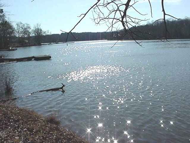 Lot A Lanier Rruitt Road Anderson, SC 29621 - Photo 2 of 2