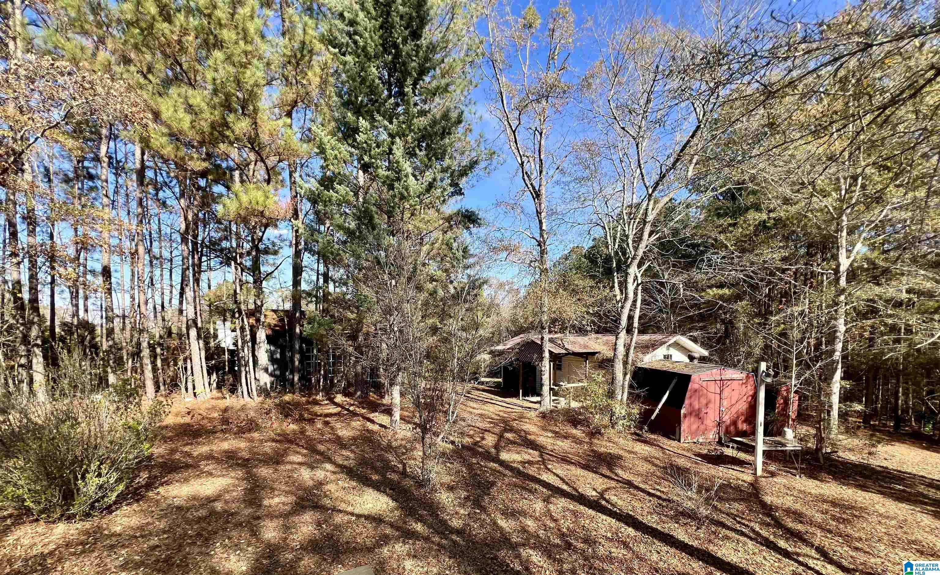 151 Mill Street Wedowee, AL 36278 - Photo 15 of 31