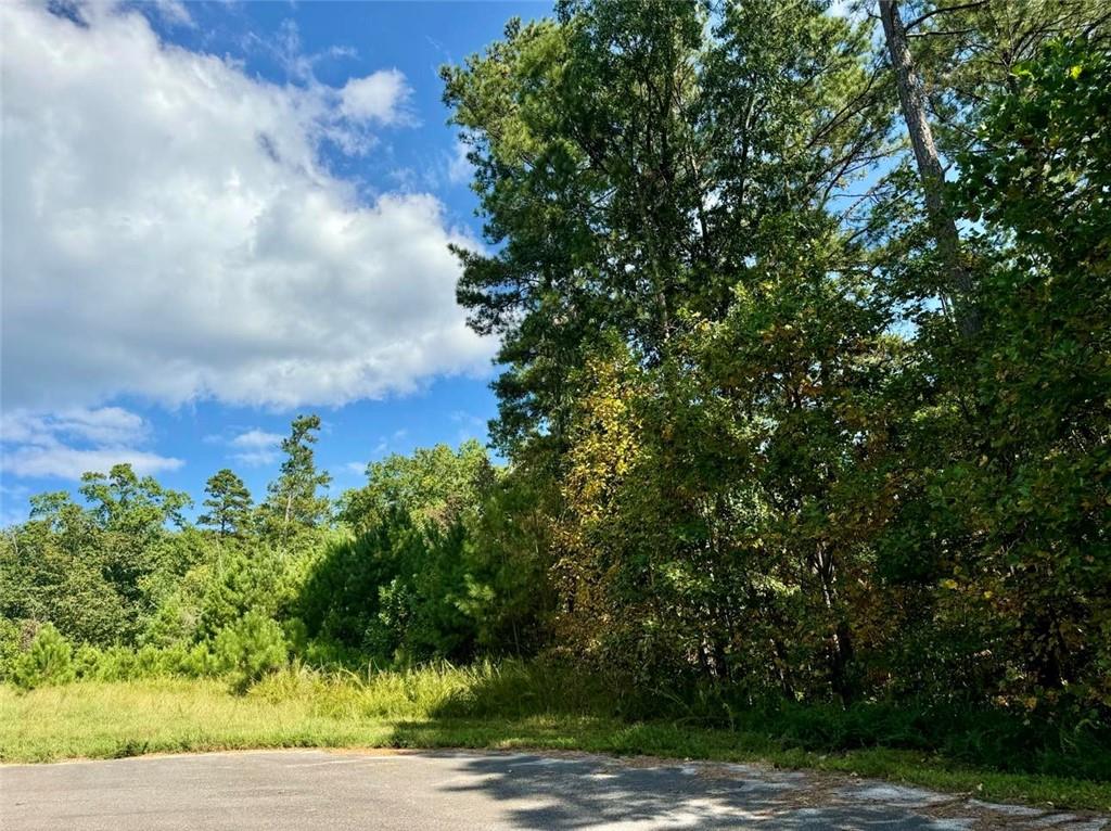 232 Hopewell Drive Ranger, GA 30734 - Photo 1 of 1 a view of a yard with plants and trees