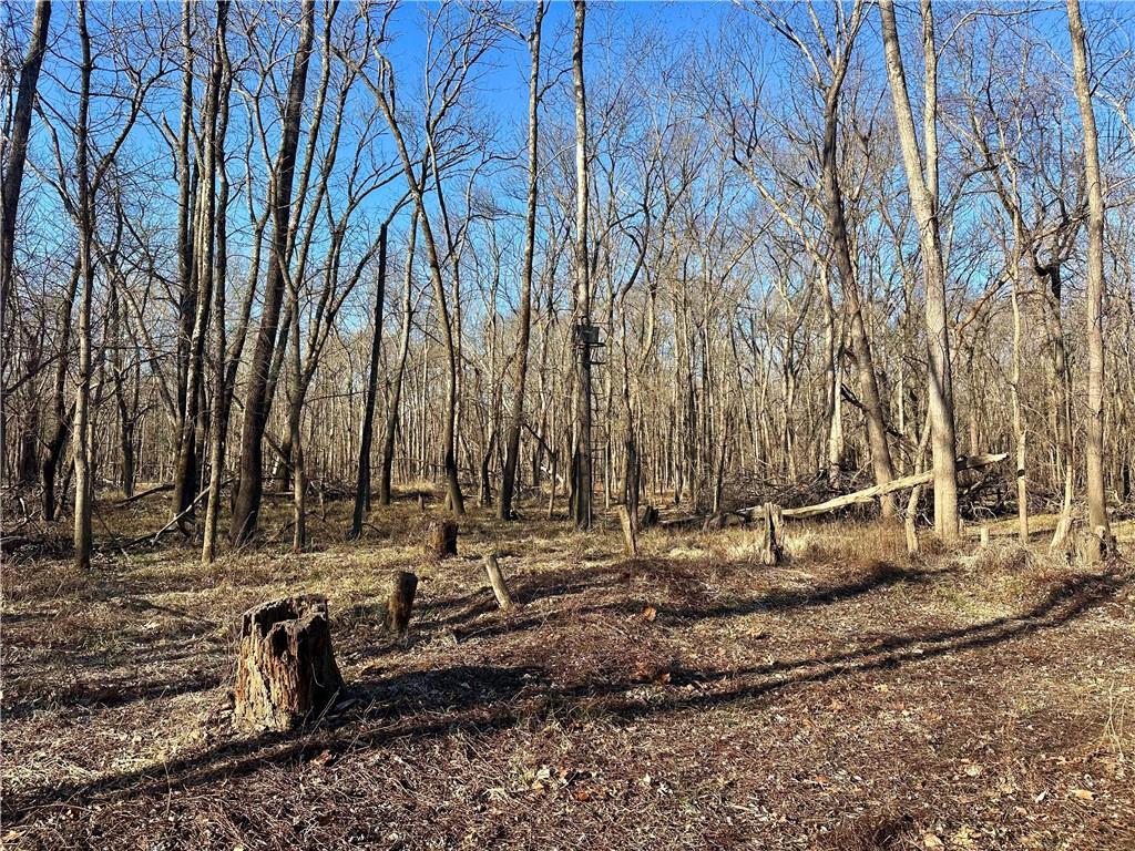 0 Old River Road Rockville, MO 64780 - Photo 11 of 70