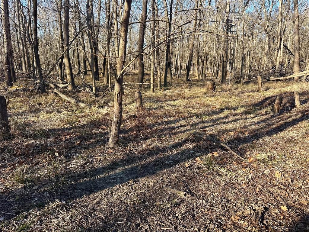 0 Old River Road Rockville, MO 64780 - Photo 13 of 70