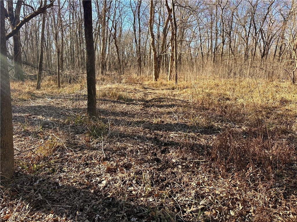 0 Old River Road Rockville, MO 64780 - Photo 14 of 70