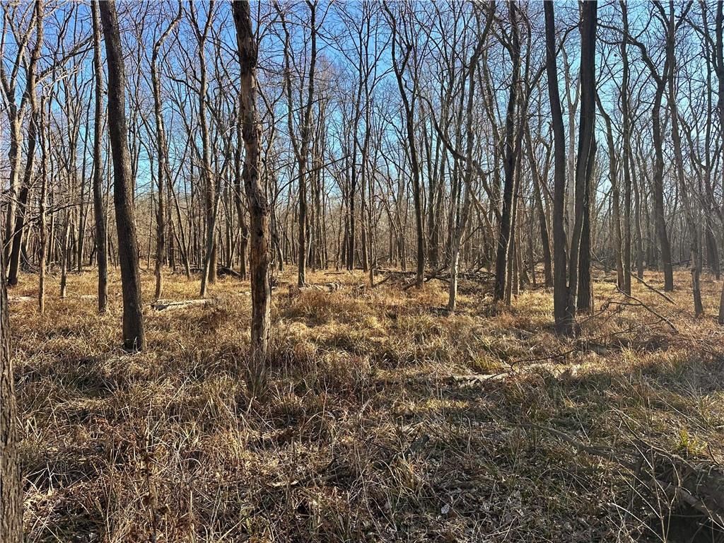 0 Old River Road Rockville, MO 64780 - Photo 15 of 70