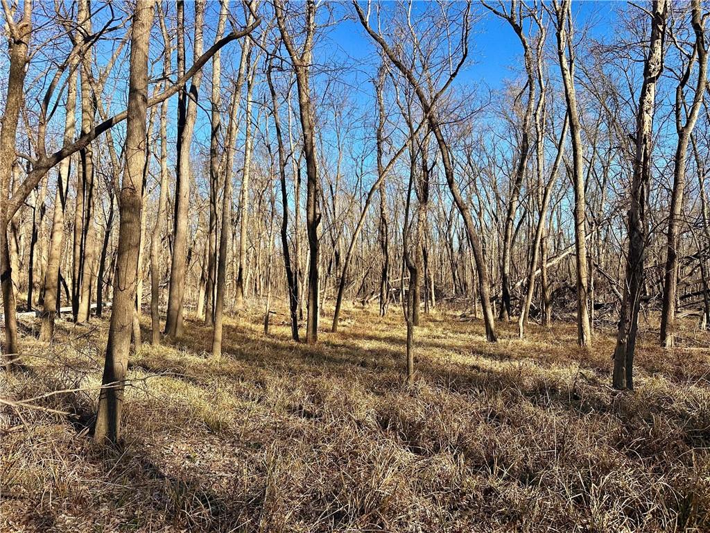 0 Old River Road Rockville, MO 64780 - Photo 16 of 70