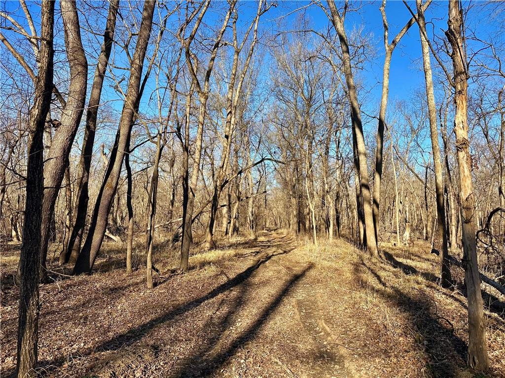 0 Old River Road Rockville, MO 64780 - Photo 17 of 70