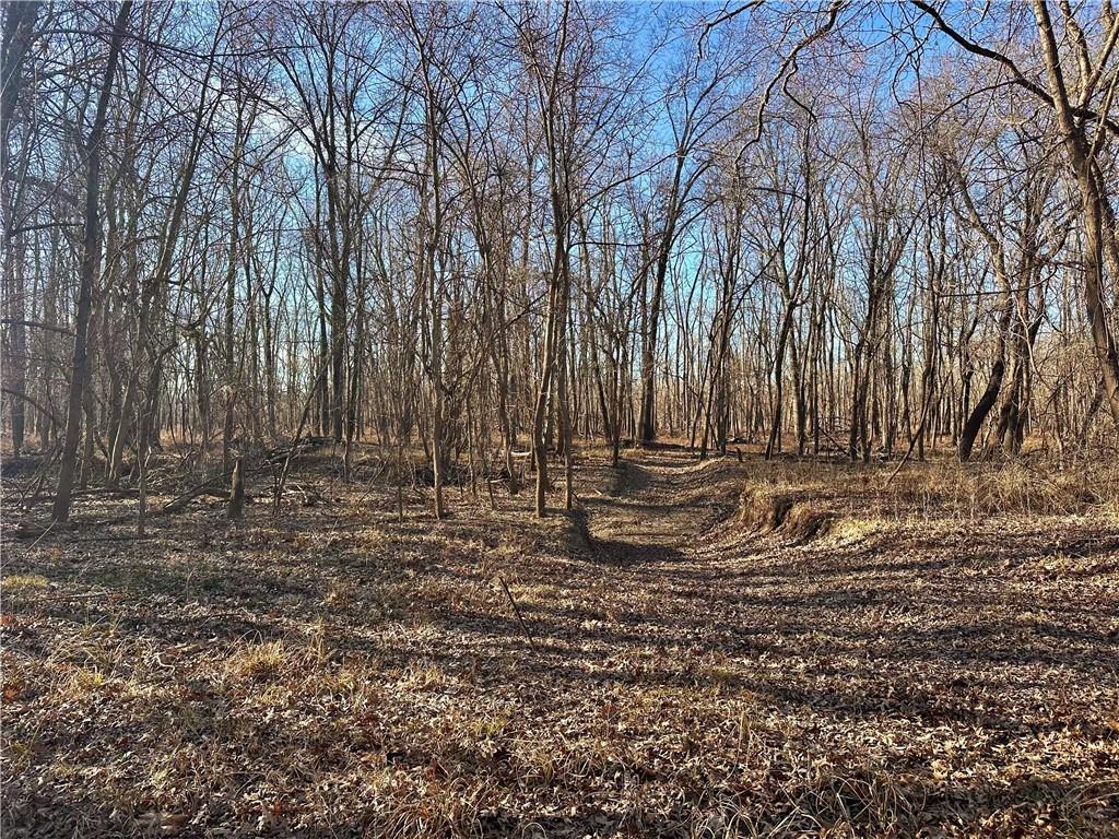 0 Old River Road Rockville, MO 64780 - Photo 18 of 70