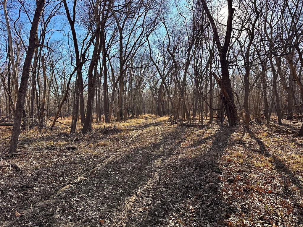 0 Old River Road Rockville, MO 64780 - Photo 18 of 46