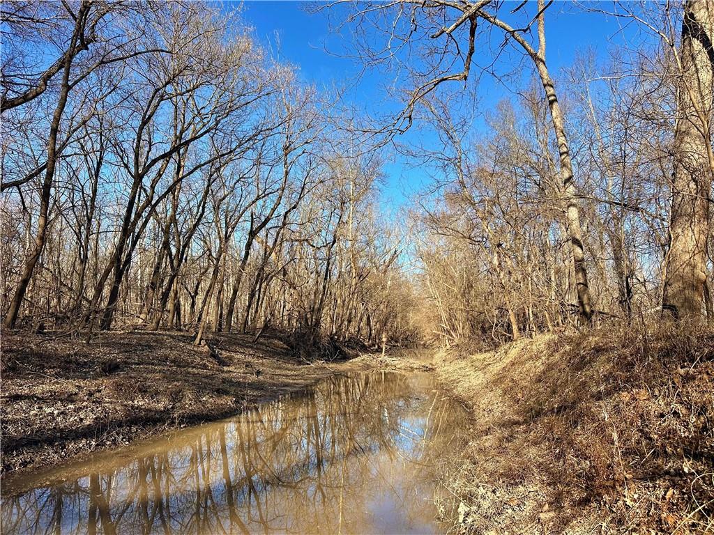 0 Old River Road Rockville, MO 64780 - Photo 20 of 46