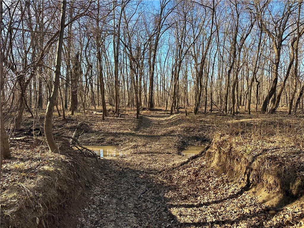 0 Old River Road Rockville, MO 64780 - Photo 20 of 70