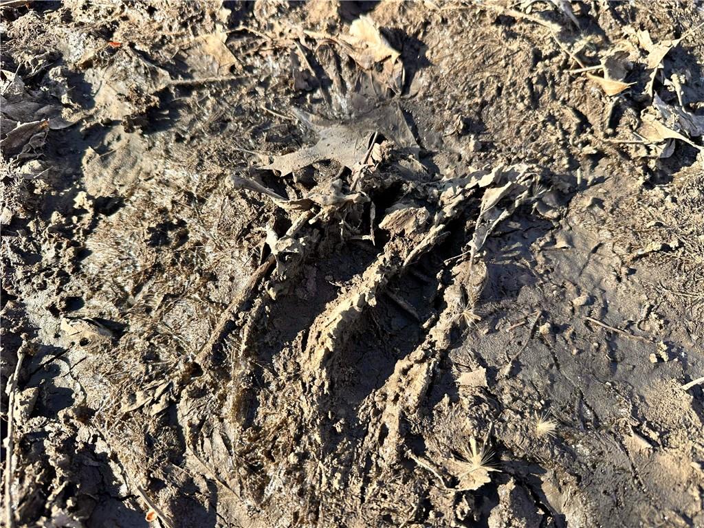 0 Old River Road Rockville, MO 64780 - Photo 23 of 70