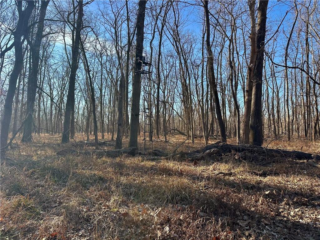 0 Old River Road Rockville, MO 64780 - Photo 24 of 46