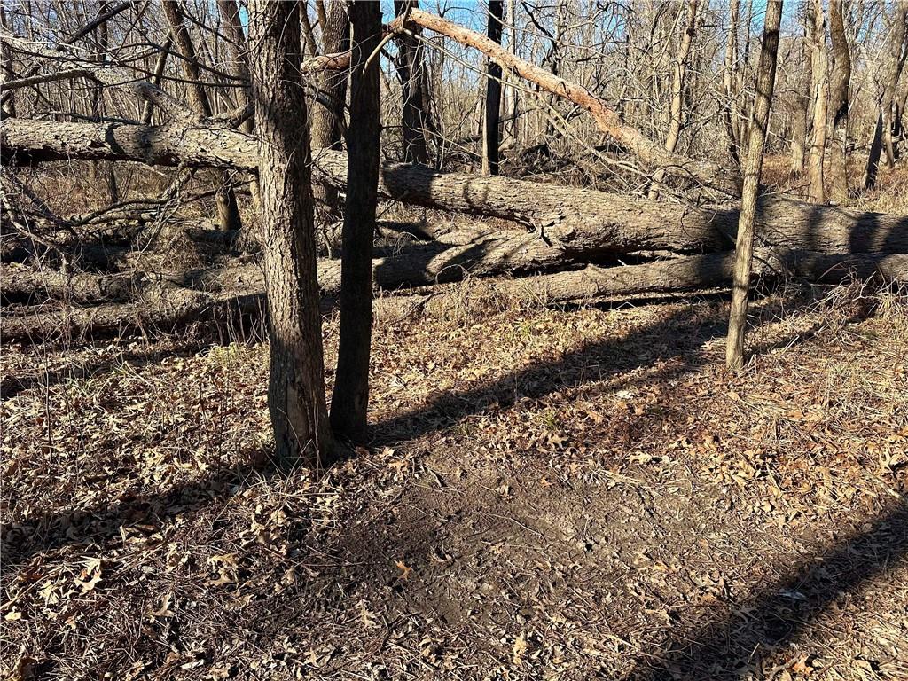 0 Old River Road Rockville, MO 64780 - Photo 28 of 70