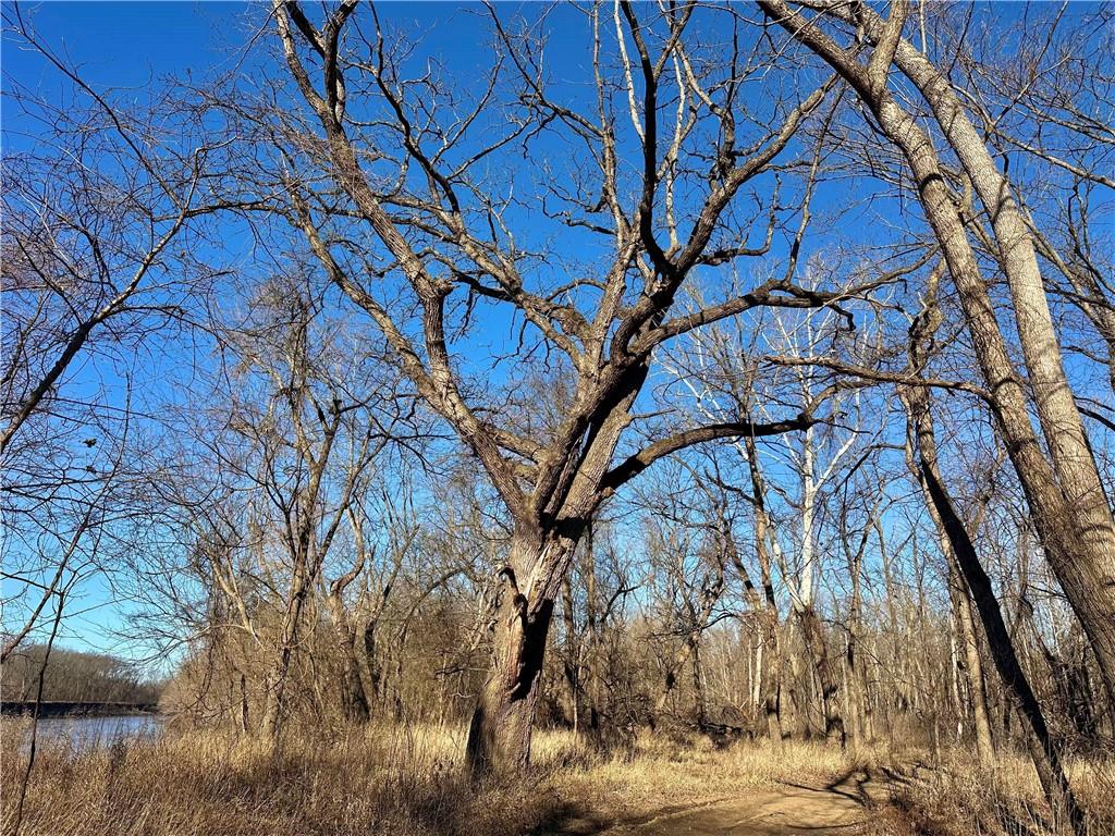 0 Old River Road Rockville, MO 64780 - Photo 29 of 70