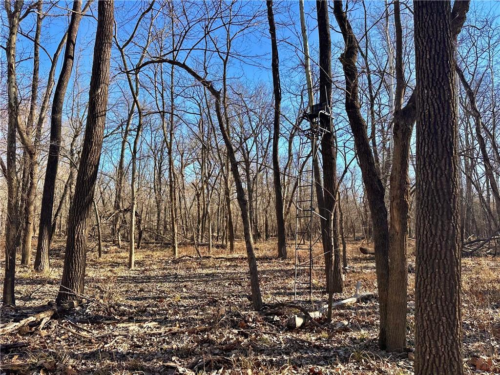 0 Old River Road Rockville, MO 64780 - Photo 30 of 70