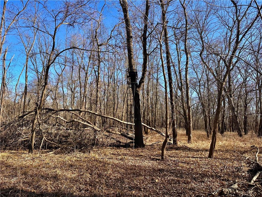 0 Old River Road Rockville, MO 64780 - Photo 31 of 70