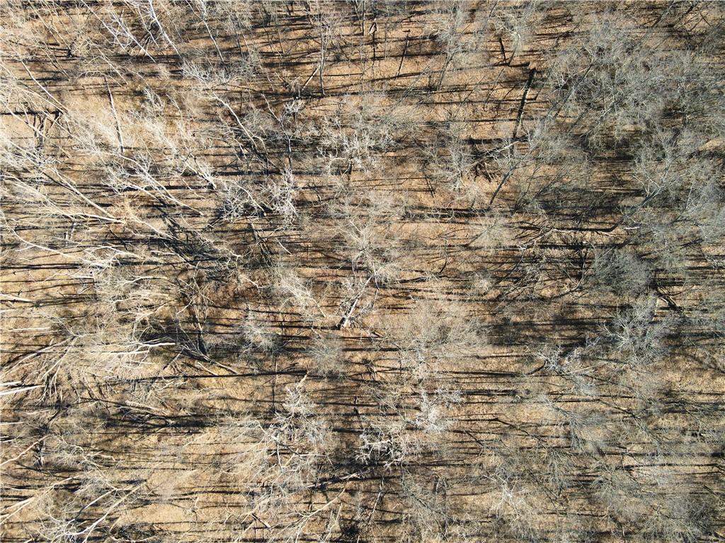 0 Old River Road Rockville, MO 64780 - Photo 35 of 70