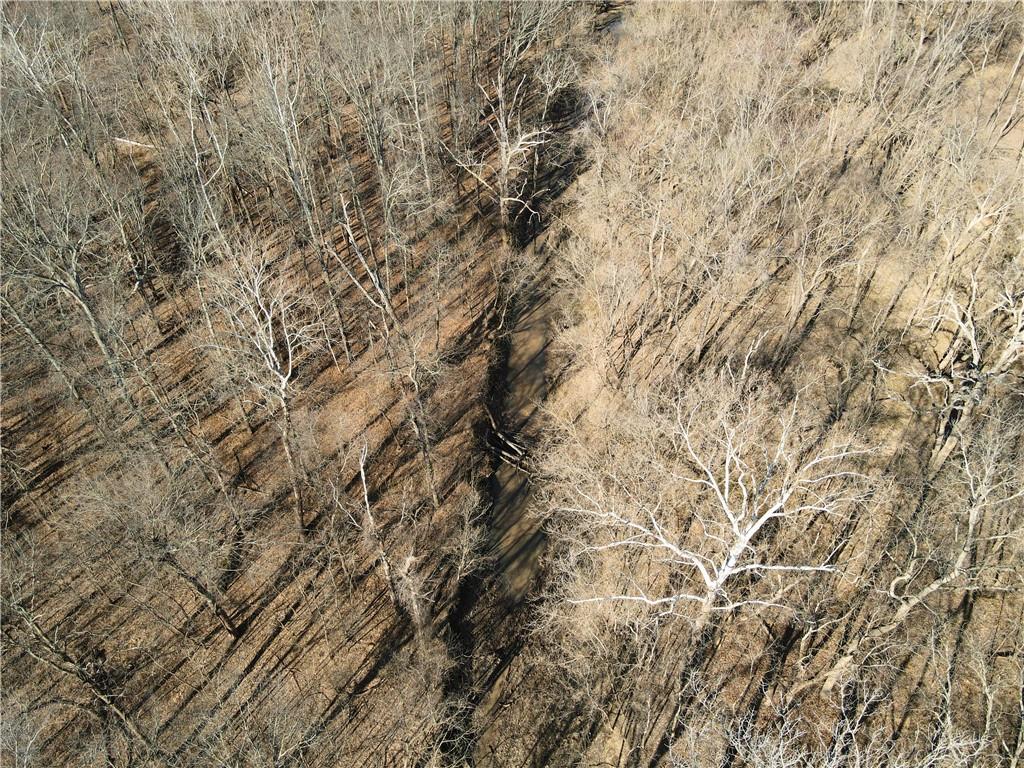 0 Old River Road Rockville, MO 64780 - Photo 39 of 70