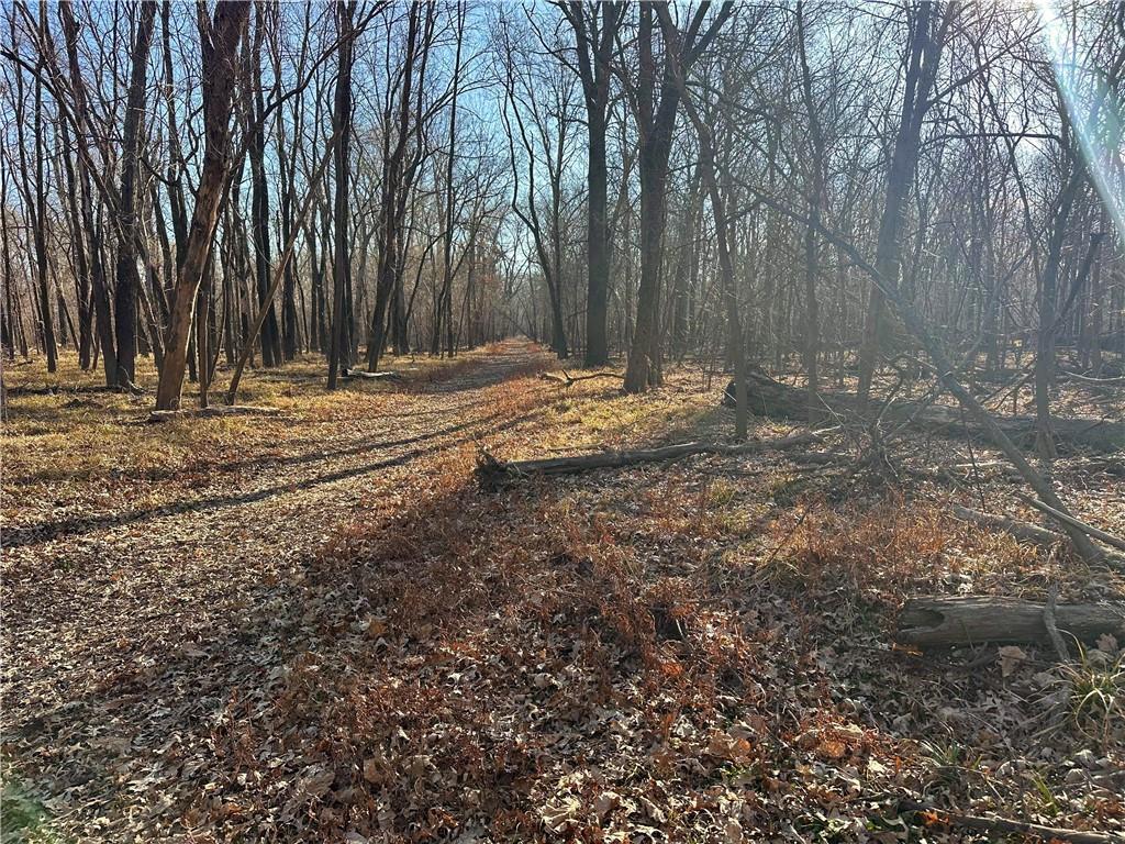 0 Old River Road Rockville, MO 64780 - Photo 4 of 46