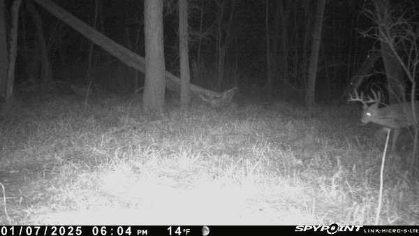 0 Old River Road Rockville, MO 64780 - Photo 4 of 70