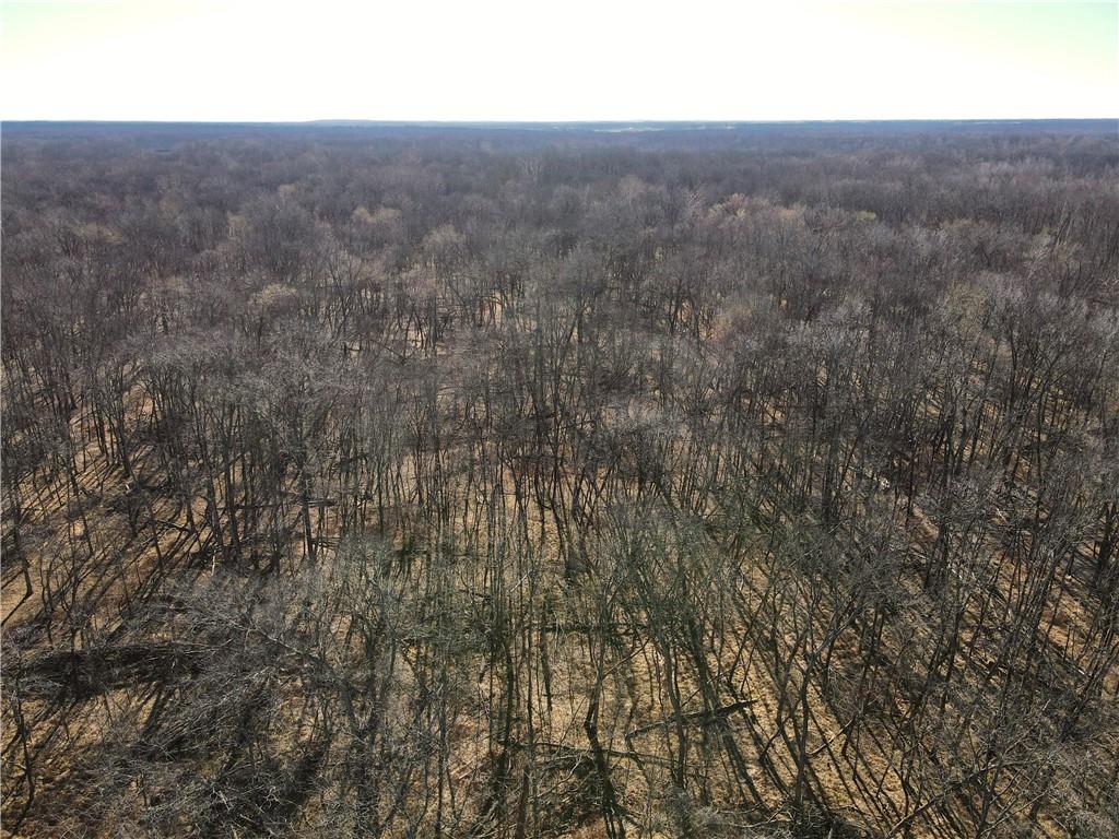 0 Old River Road Rockville, MO 64780 - Photo 41 of 70