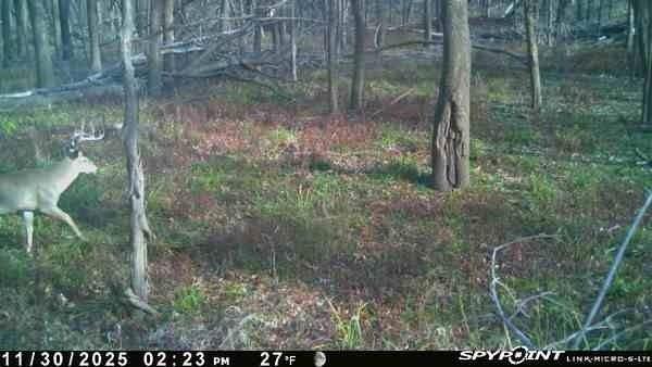 0 Old River Road Rockville, MO 64780 - Photo 43 of 70