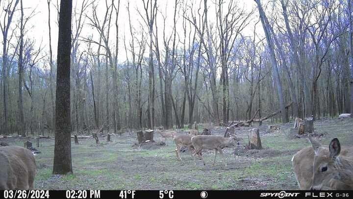 0 Old River Road Rockville, MO 64780 - Photo 44 of 70