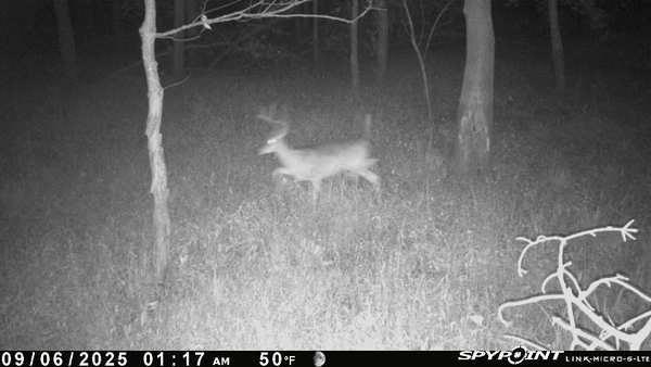 0 Old River Road Rockville, MO 64780 - Photo 45 of 70