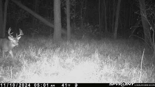 0 Old River Road Rockville, MO 64780 - Photo 46 of 70