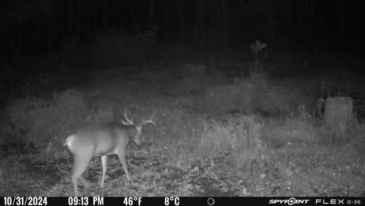 0 Old River Road Rockville, MO 64780 - Photo 47 of 70