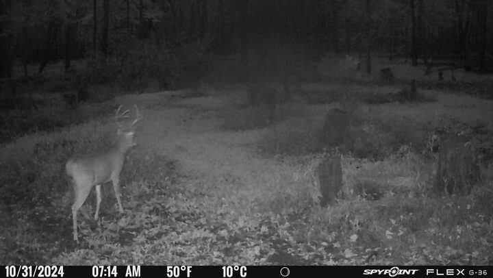 0 Old River Road Rockville, MO 64780 - Photo 48 of 70