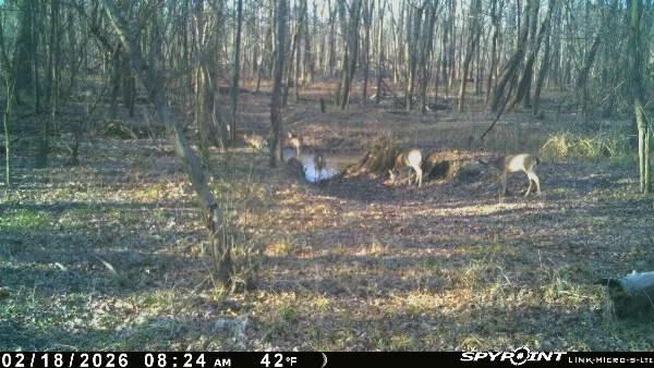 0 Old River Road Rockville, MO 64780 - Photo 49 of 70