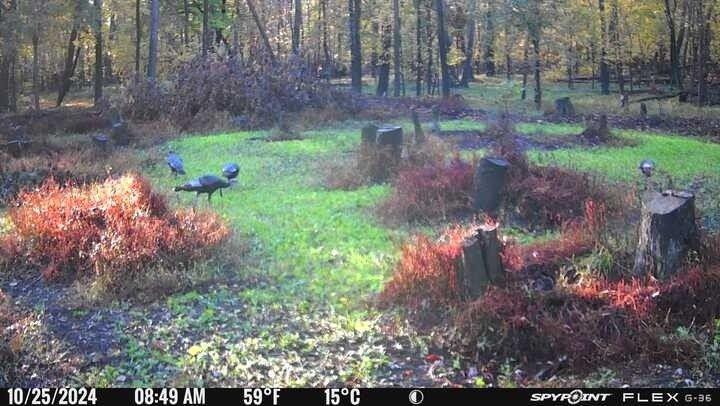 0 Old River Road Rockville, MO 64780 - Photo 50 of 70