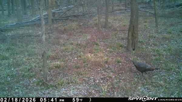 0 Old River Road Rockville, MO 64780 - Photo 52 of 70