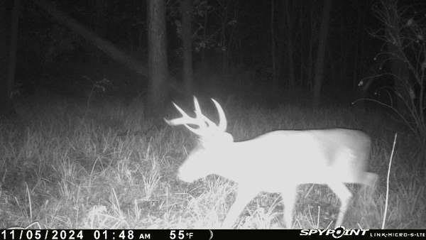 0 Old River Road Rockville, MO 64780 - Photo 53 of 70