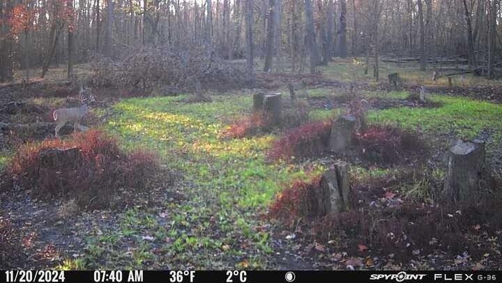 0 Old River Road Rockville, MO 64780 - Photo 54 of 70